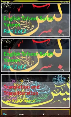 Yaseen MP3 Offline android App screenshot 2